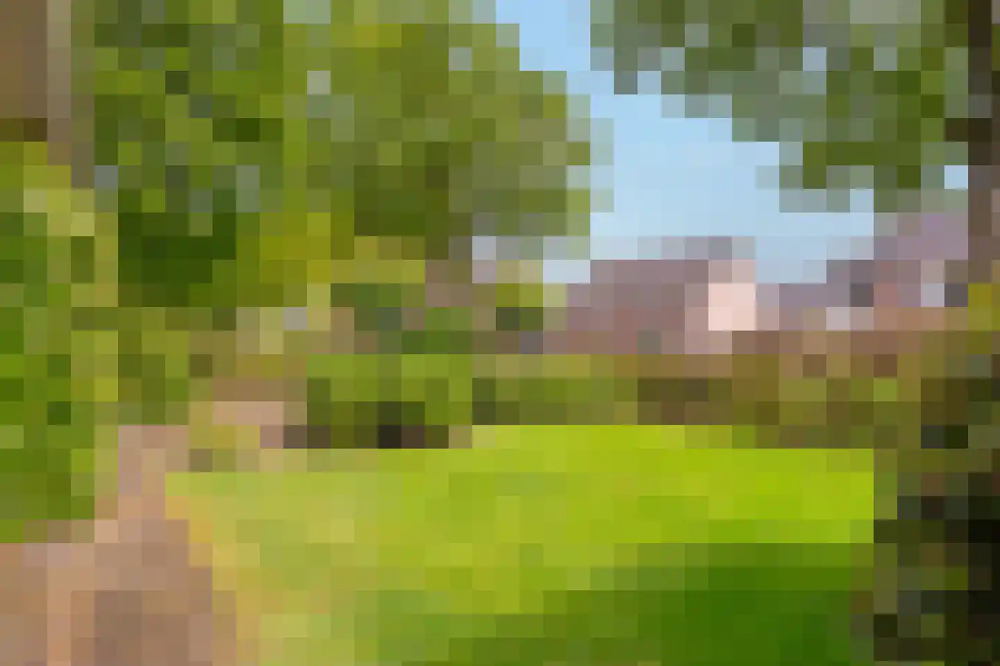 Zandspeur 54 Nieuwleusen thumbnail 52