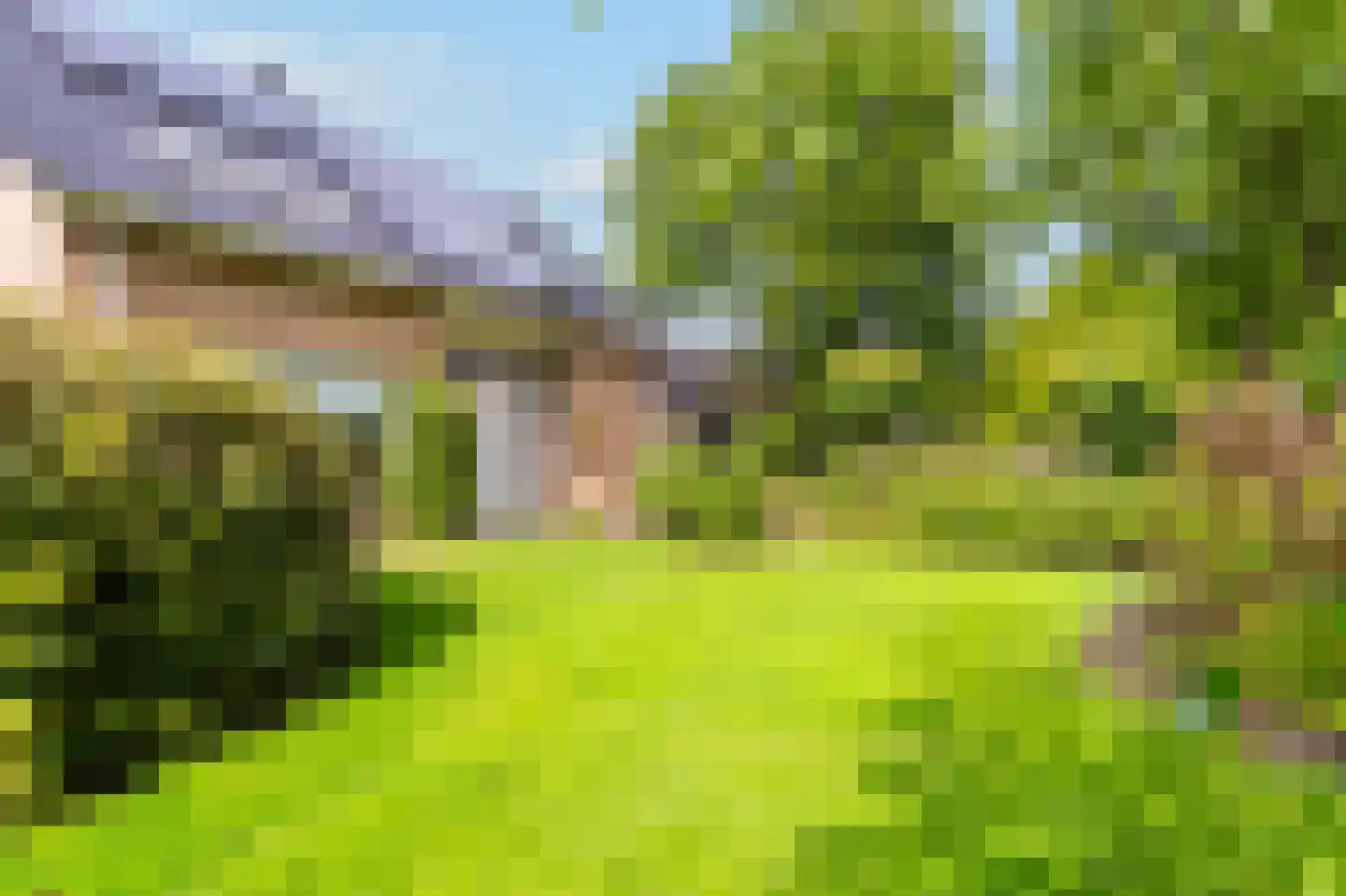 Zandspeur 54 Nieuwleusen thumbnail 54