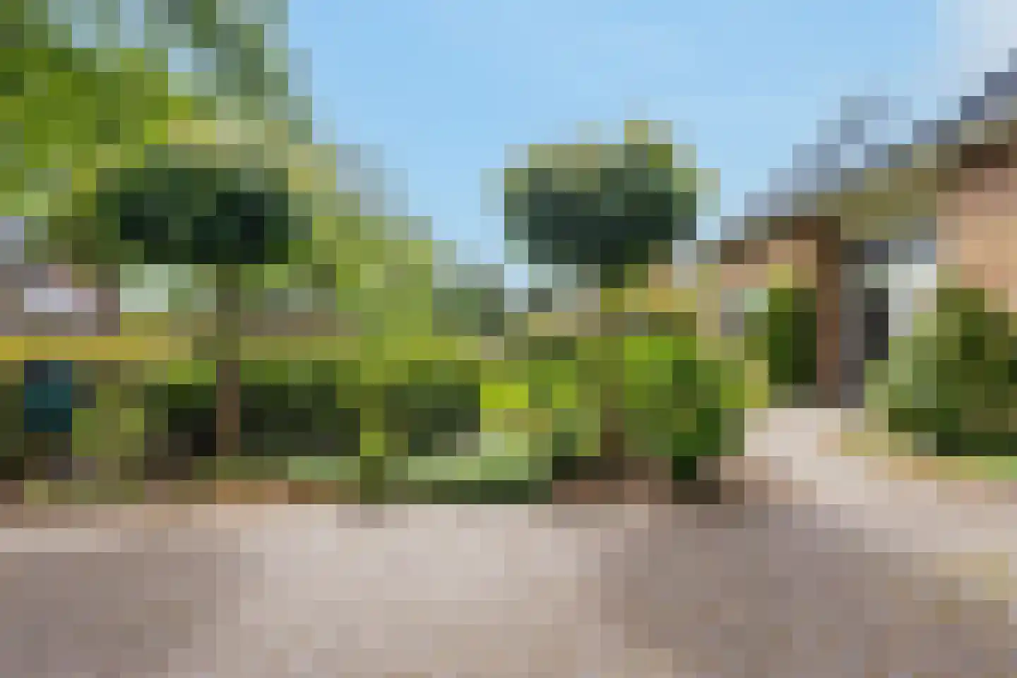 Zandspeur 54 Nieuwleusen thumbnail 55