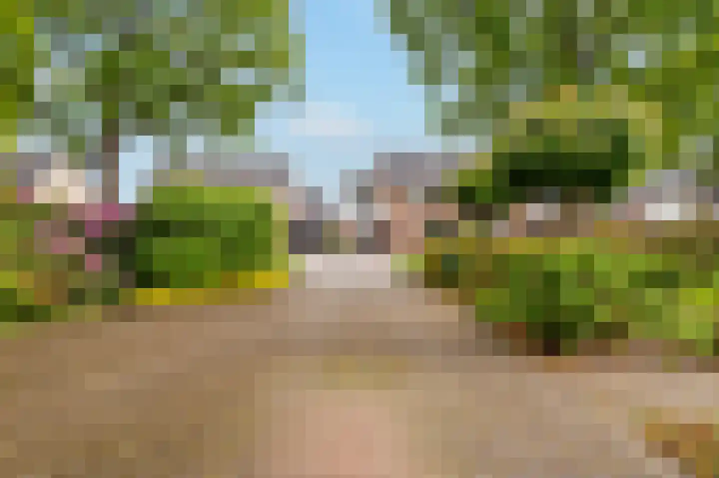 Zandspeur 54 Nieuwleusen thumbnail 56