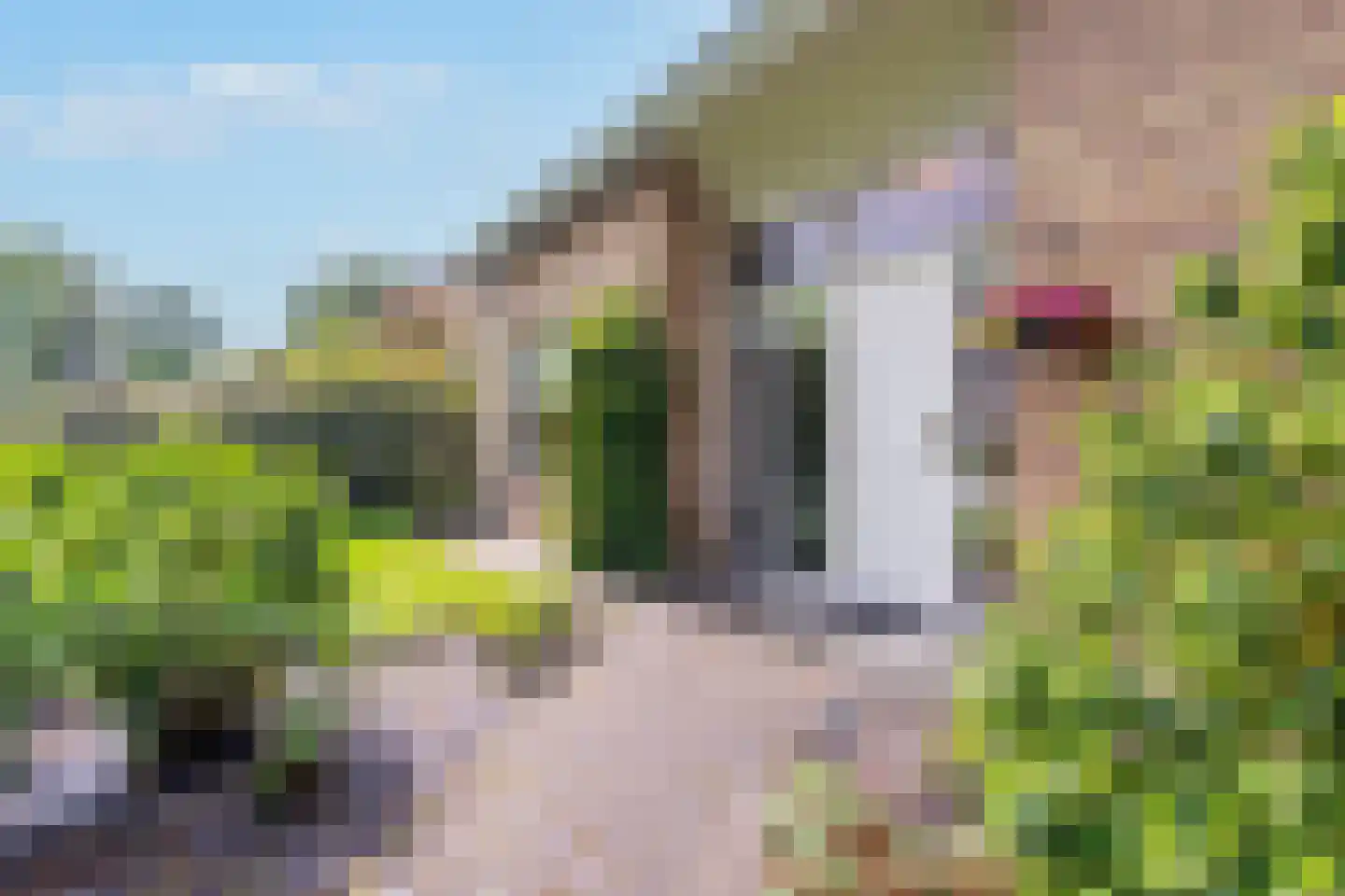 Zandspeur 54 Nieuwleusen thumbnail 6