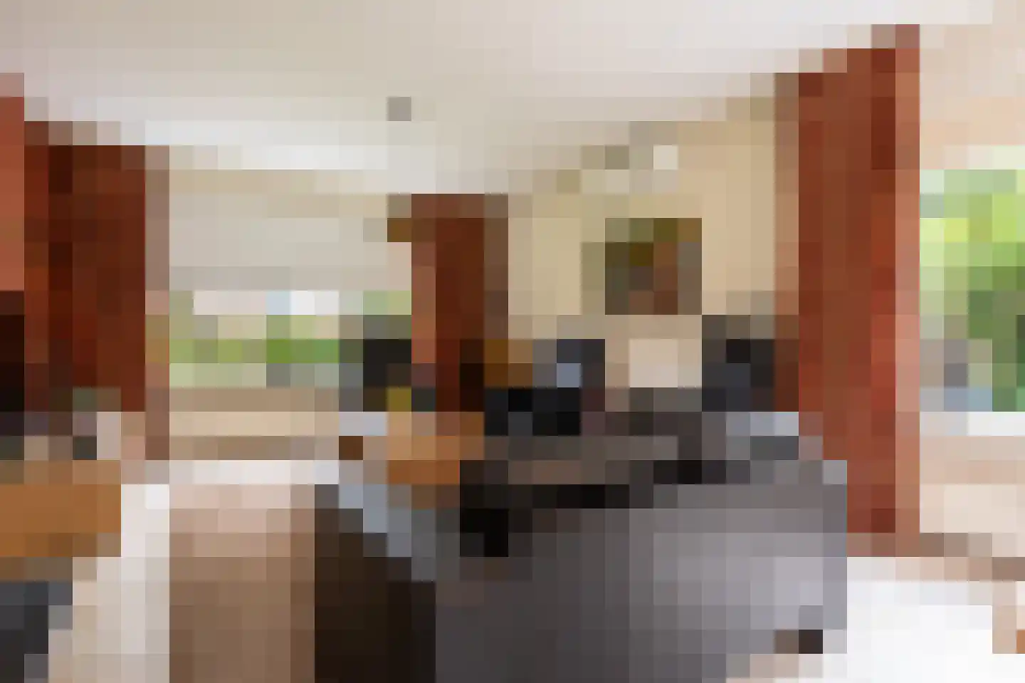 Zandspeur 54 Nieuwleusen thumbnail 9