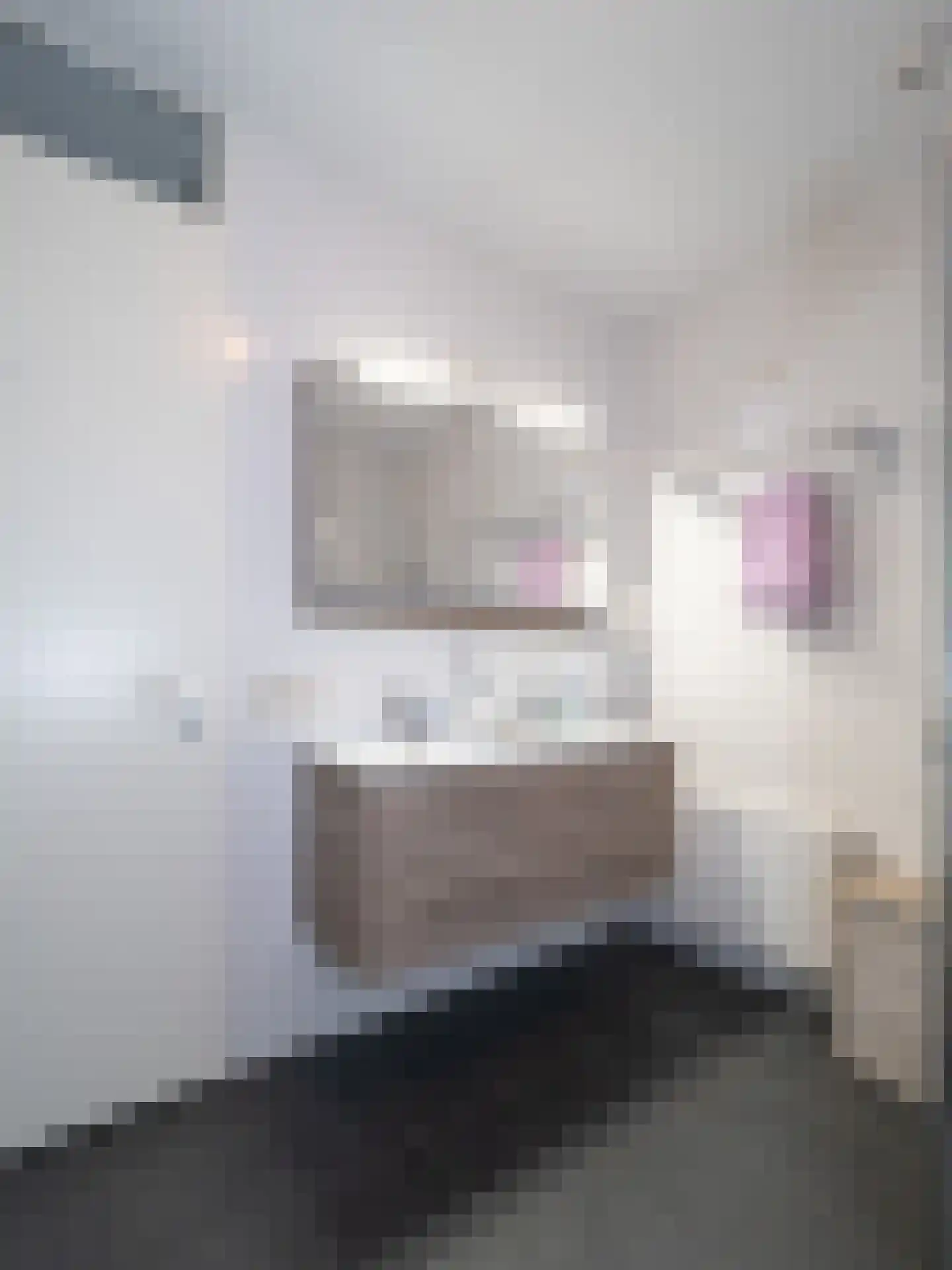 Zandsteeg 27 Mook thumbnail 10