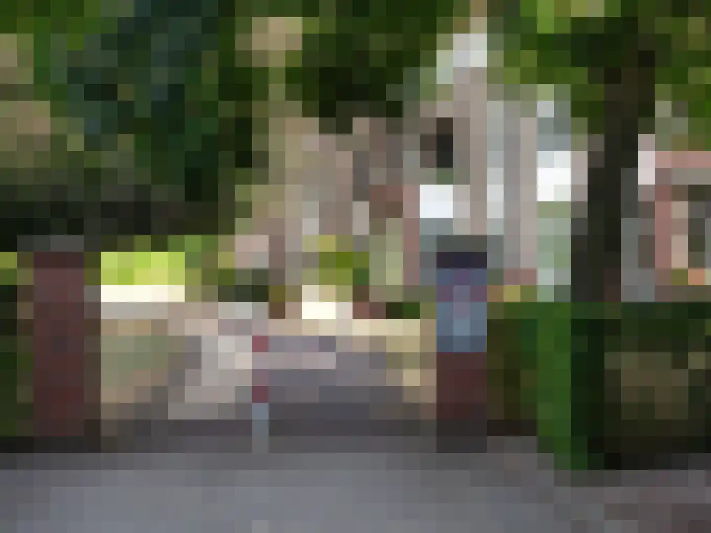 Zandsteeg 27 Mook thumbnail 23