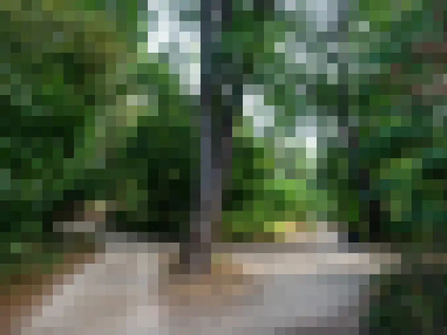Zandsteeg 27 Mook thumbnail 28