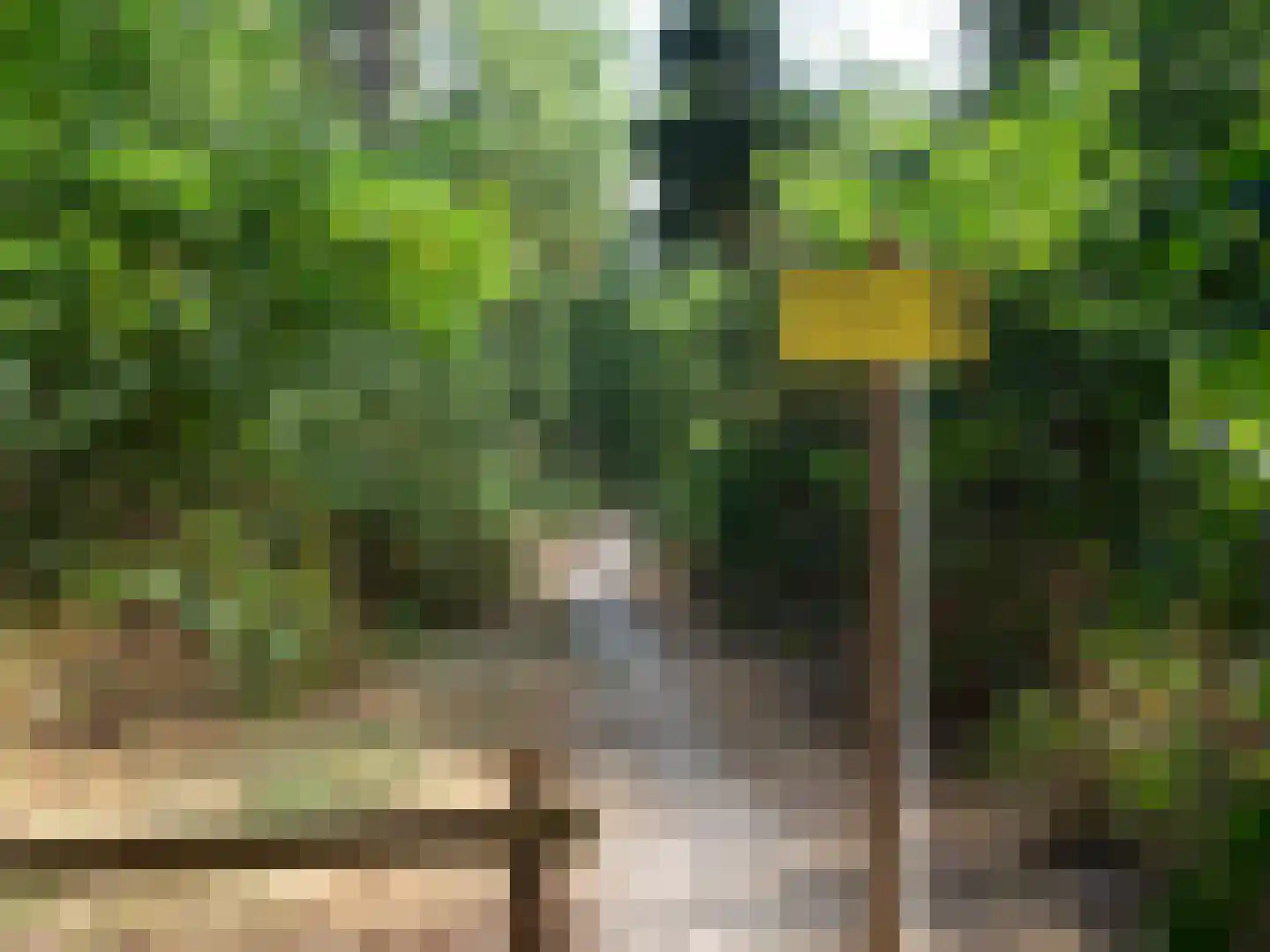 Zandsteeg 27 Mook thumbnail 29
