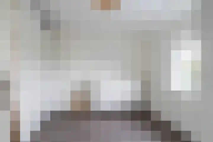 Zandsteeg 34 Nieuwendijk thumbnail 22