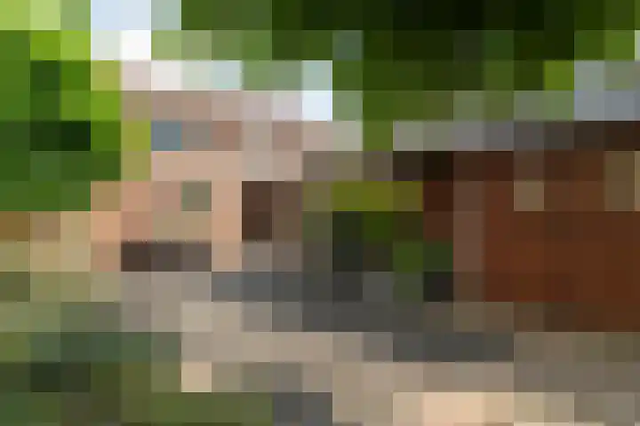 Zandsteeg 34 Nieuwendijk thumbnail 24