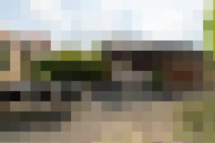 Zandsteeg 34 Nieuwendijk thumbnail 26