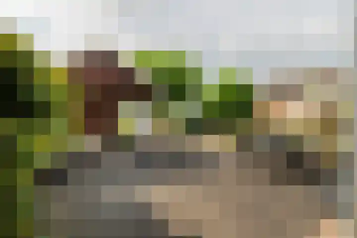 Zandsteeg 34 Nieuwendijk thumbnail 27