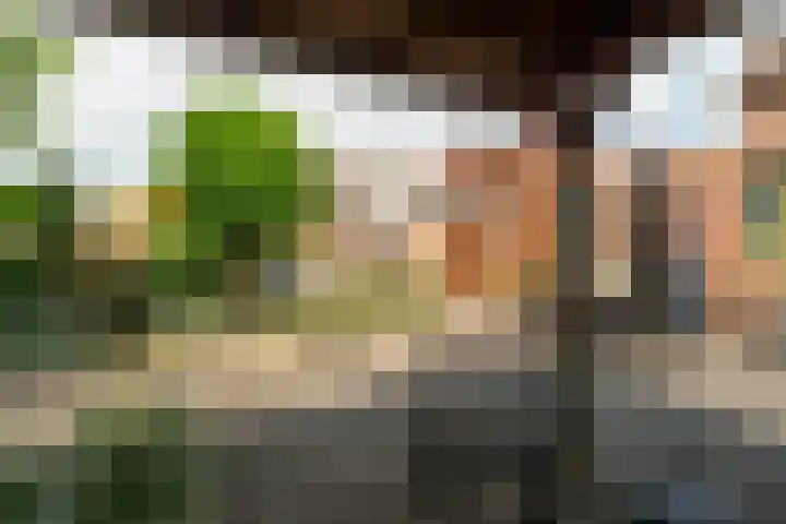 Zandsteeg 34 Nieuwendijk thumbnail 28