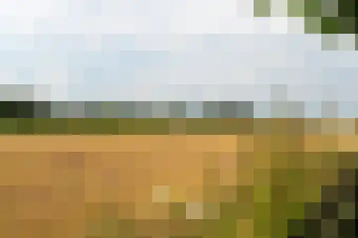 Zandsteeg 34 Nieuwendijk thumbnail 30