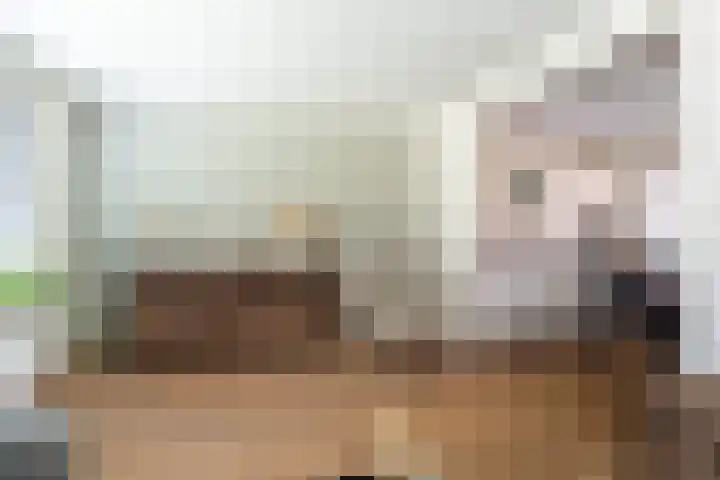Zandsteeg 34 Nieuwendijk thumbnail 9