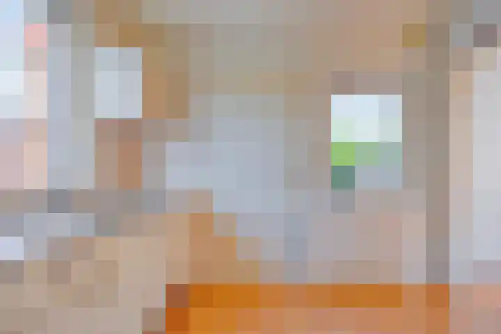 Zandsteeg 36 Nieuwendijk thumbnail 19