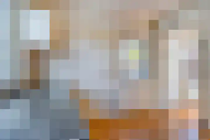Zandsteeg 36 Nieuwendijk thumbnail 20