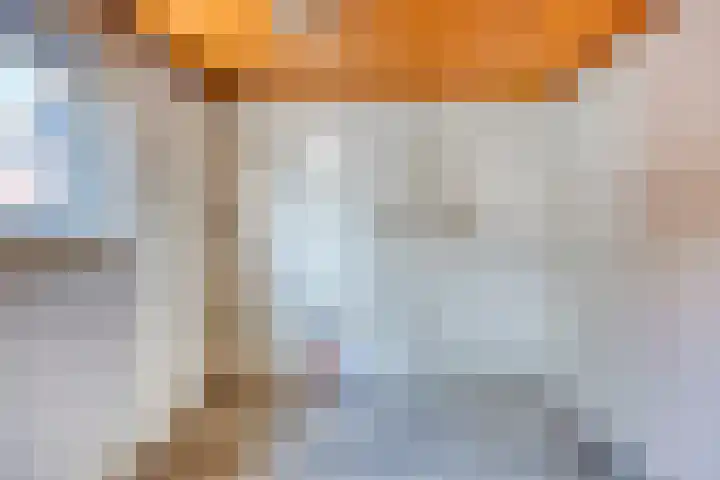 Zandsteeg 36 Nieuwendijk thumbnail 23