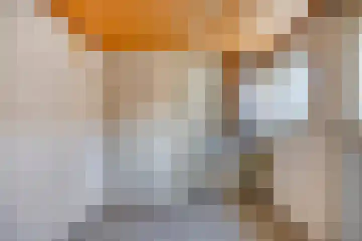 Zandsteeg 36 Nieuwendijk thumbnail 24