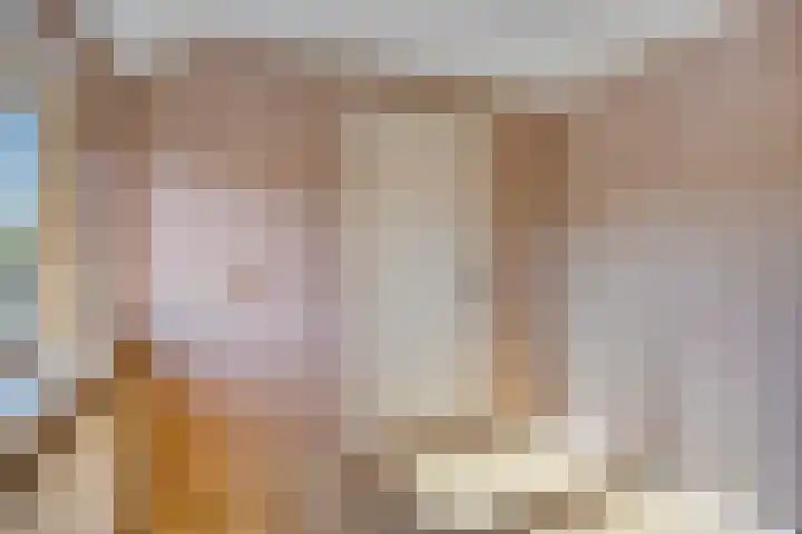 Zandsteeg 36 Nieuwendijk thumbnail 33