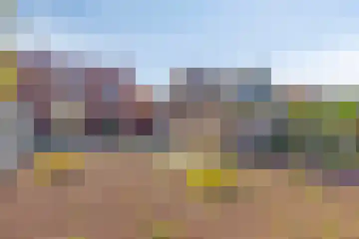 Zandsteeg 36 Nieuwendijk thumbnail 4