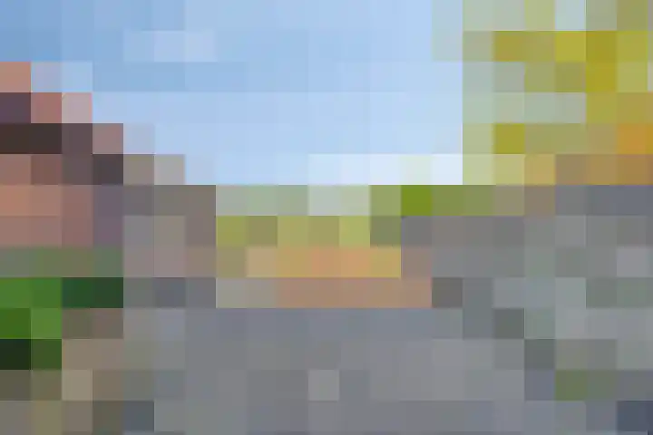 Zandsteeg 36 Nieuwendijk thumbnail 40