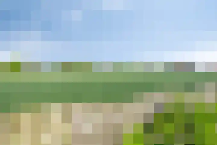 Zandsteeg 36 Nieuwendijk thumbnail 43