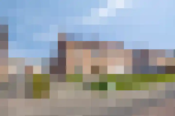 Zandsteeg 36 Nieuwendijk thumbnail 49