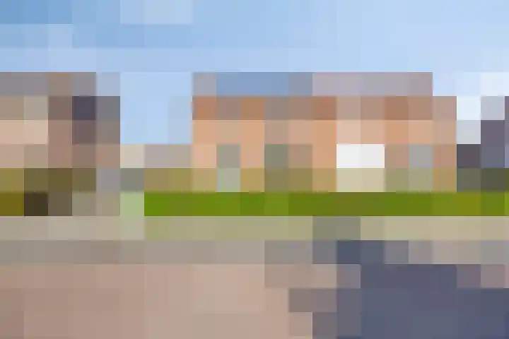 Zandsteeg 36 Nieuwendijk thumbnail 7