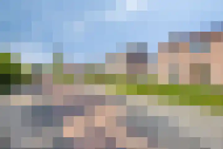Zandsteeg 36 Nieuwendijk thumbnail 8