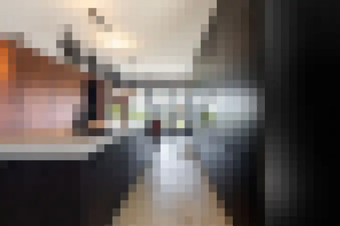 Zandsteeg 59 Nieuwendijk thumbnail 18