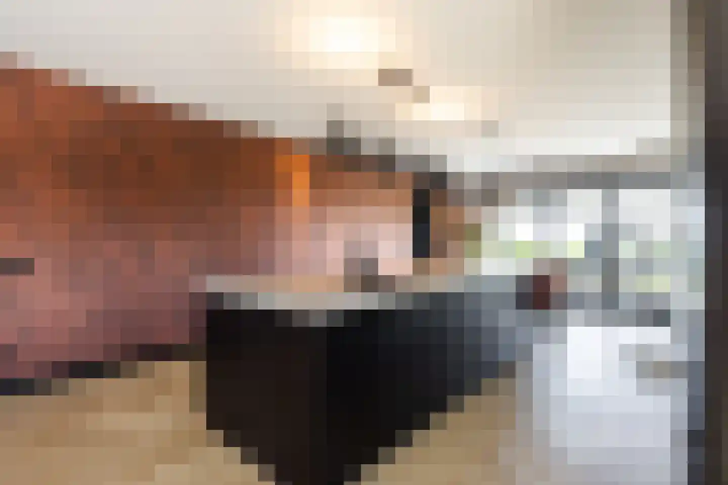 Zandsteeg 59 Nieuwendijk thumbnail 20