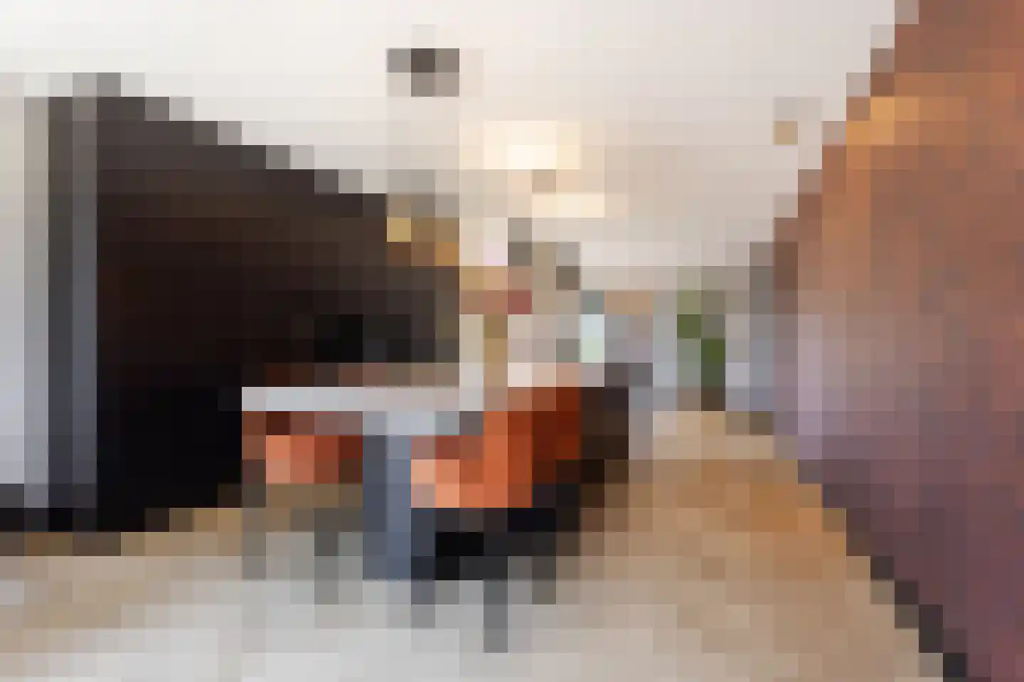 Zandsteeg 59 Nieuwendijk thumbnail 22