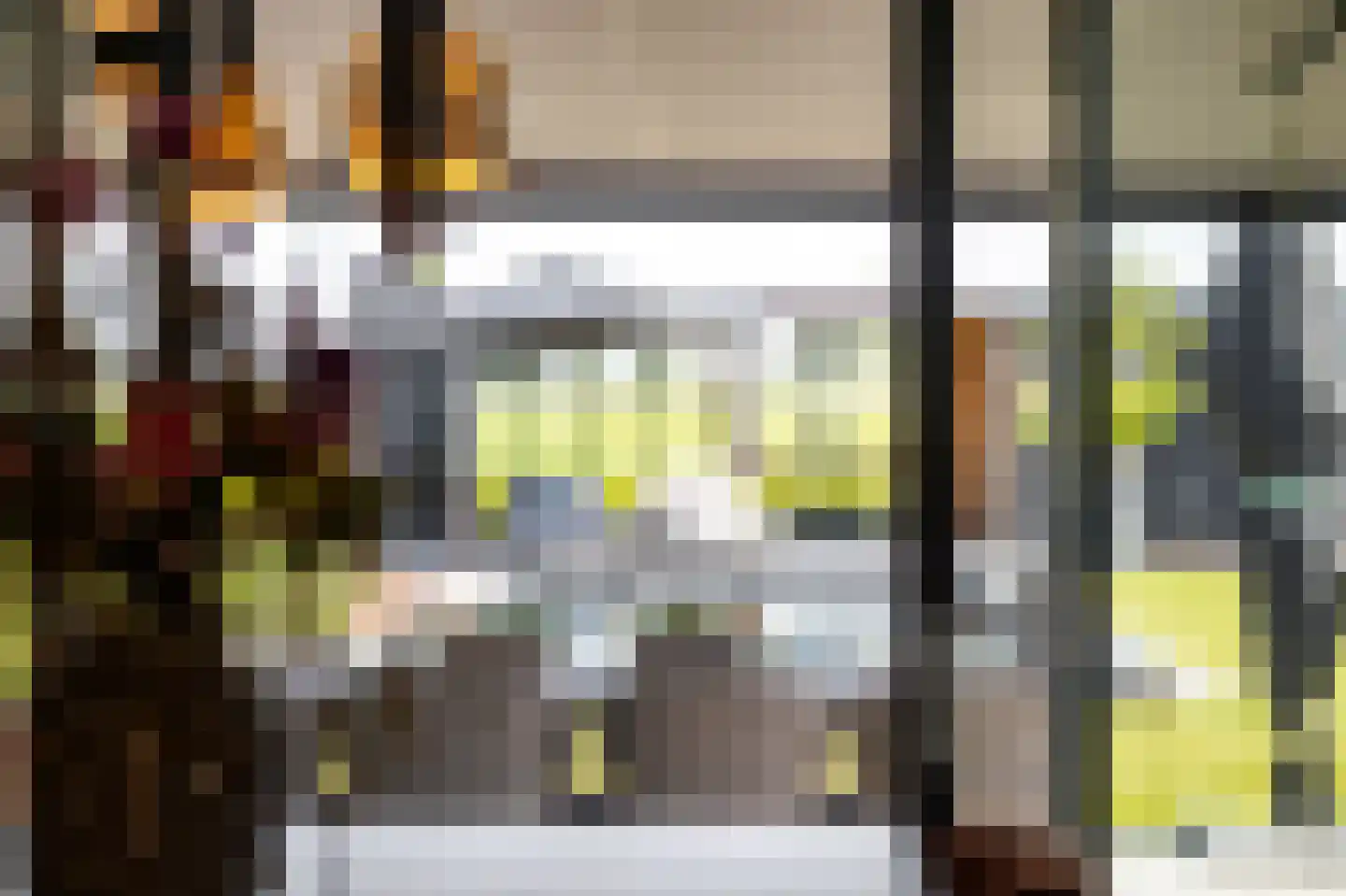 Zandsteeg 59 Nieuwendijk thumbnail 32