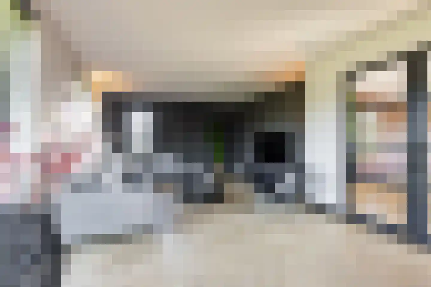 Zandsteeg 59 Nieuwendijk thumbnail 37