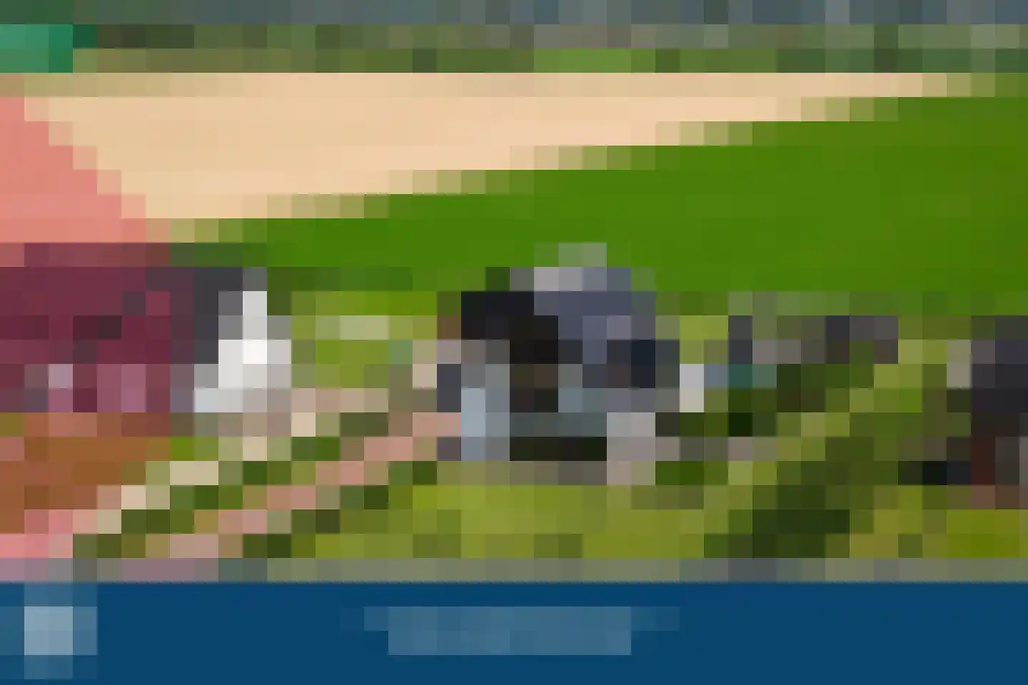Zandsteeg 59 Nieuwendijk thumbnail 5