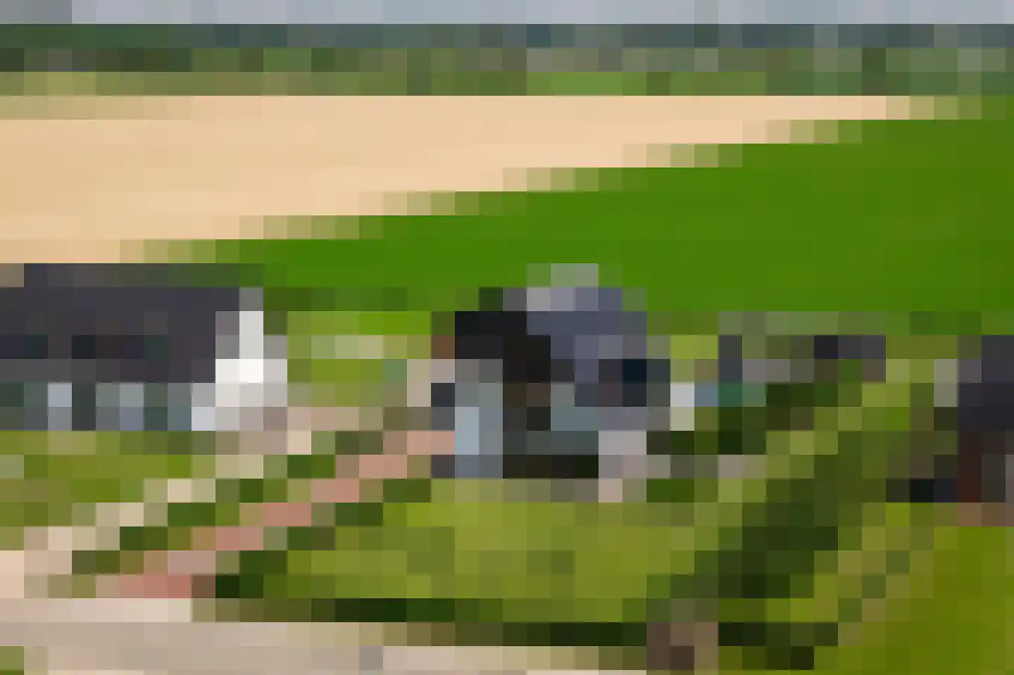 Zandsteeg 59 Nieuwendijk thumbnail 6