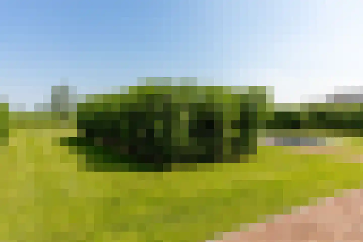 Zandsteeg 59 Nieuwendijk thumbnail 82