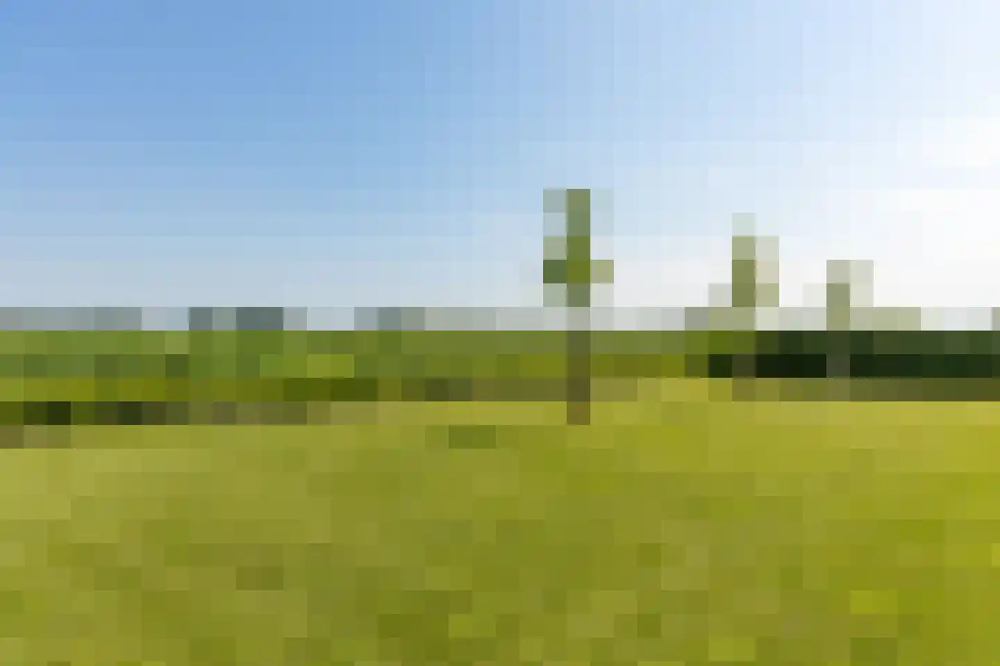 Zandsteeg 59 Nieuwendijk thumbnail 83