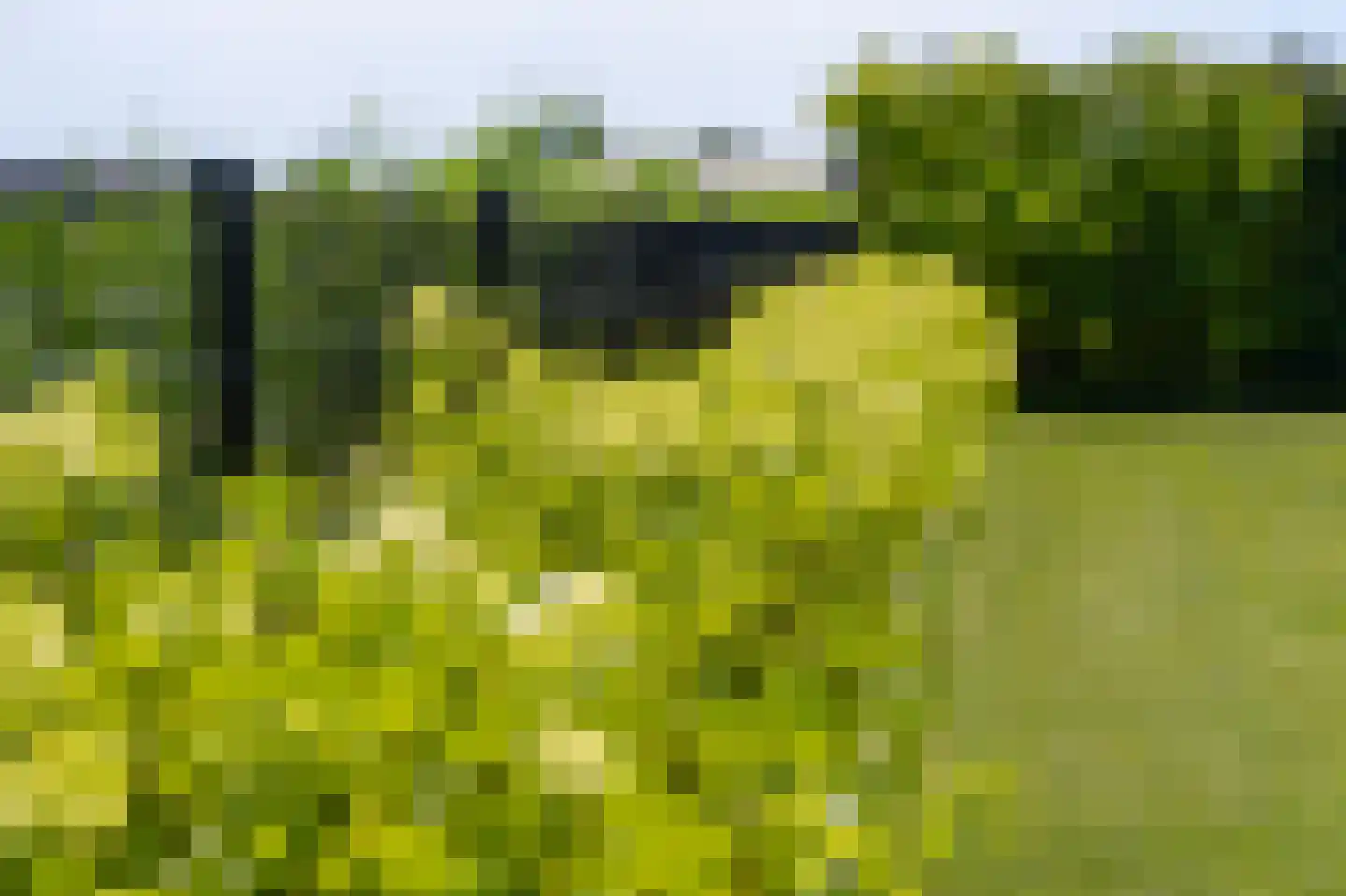 Zandsteeg 59 Nieuwendijk thumbnail 84