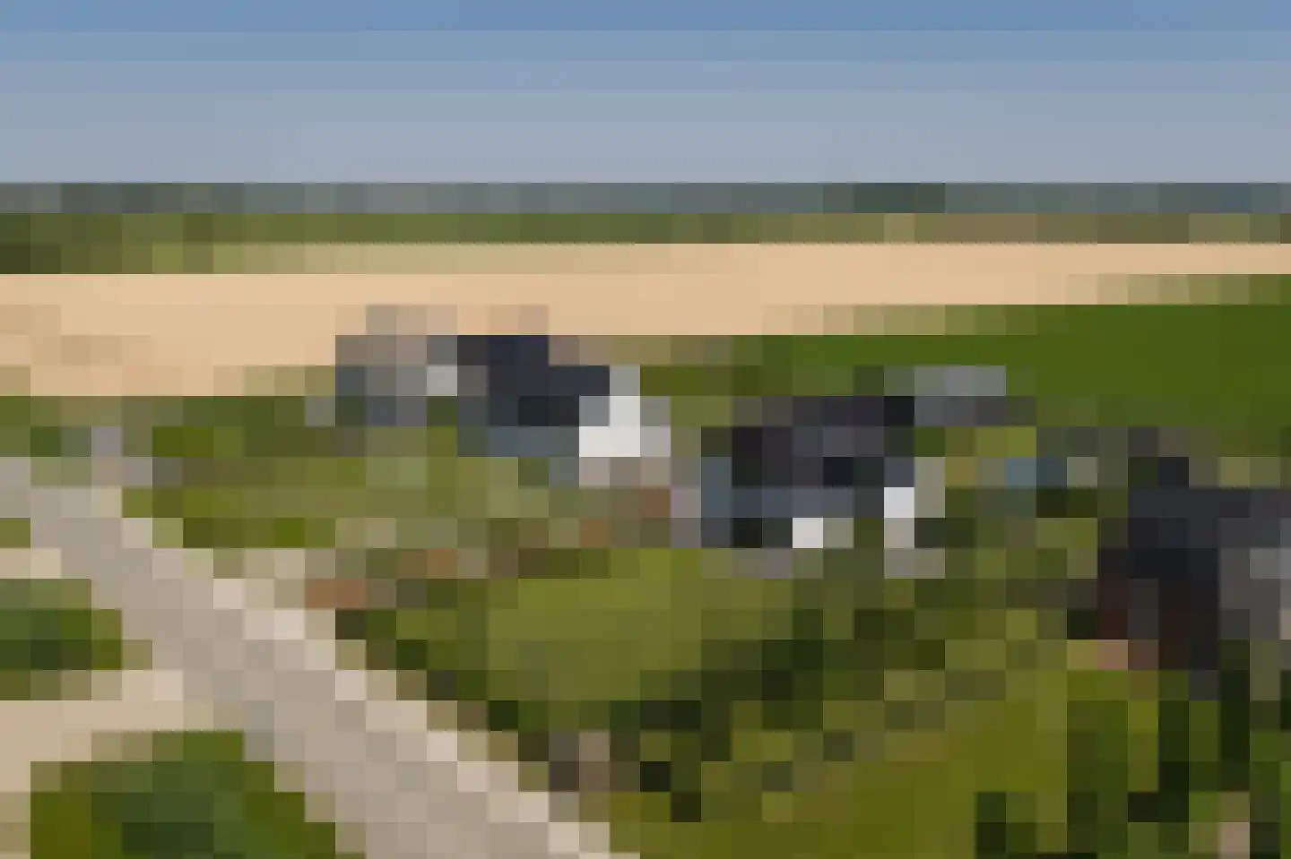 Zandsteeg 59 Nieuwendijk thumbnail 85