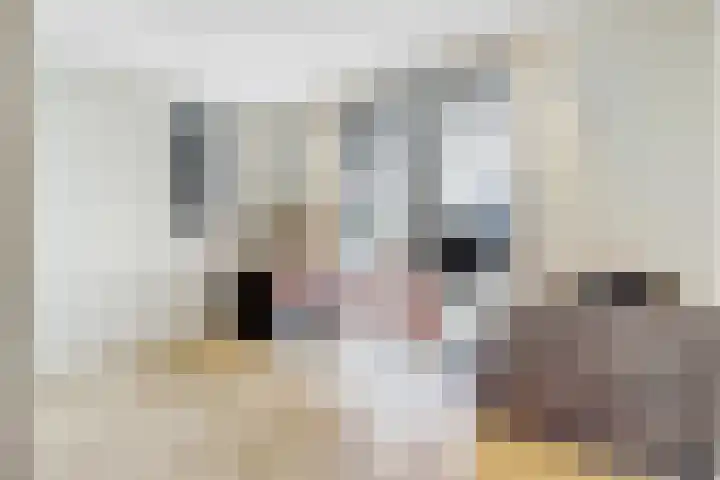 Zandsteeg 7 b Sambeek thumbnail 22