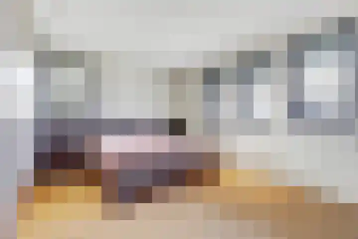 Zandsteeg 7 b Sambeek thumbnail 27