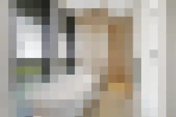 Zandsteeg 7 b Sambeek thumbnail 29