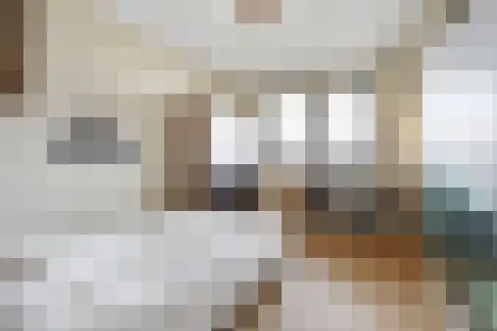 Zandsteeg 7 b Sambeek thumbnail 34