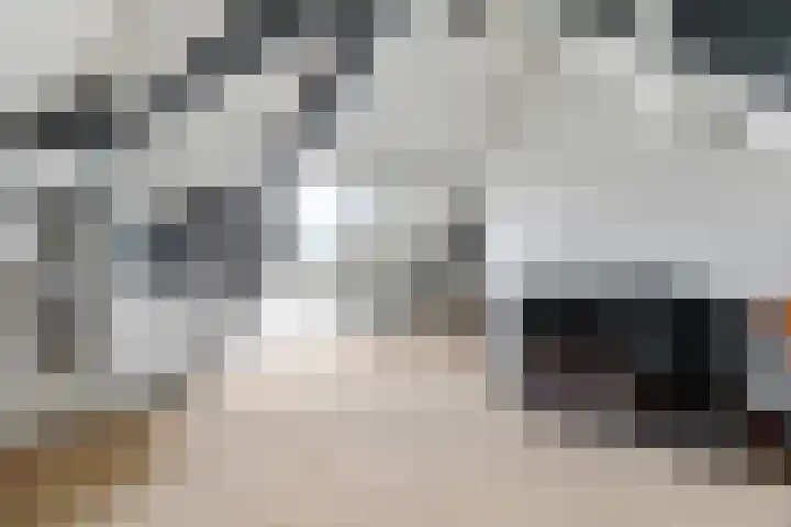 Zandsteeg 7 b Sambeek thumbnail 40