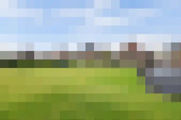 Zandsteeg 7 b Sambeek thumbnail 45