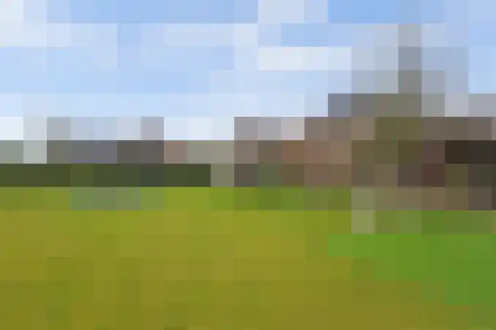 Zandsteeg 7 b Sambeek thumbnail 47