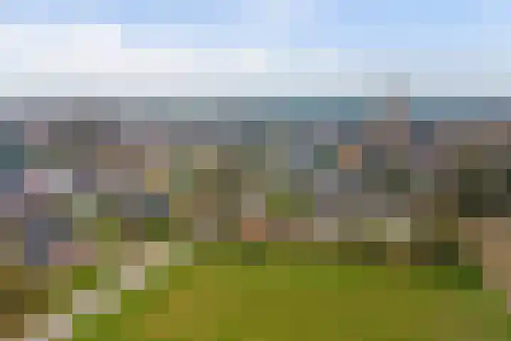 Zandsteeg 7 b Sambeek thumbnail 5