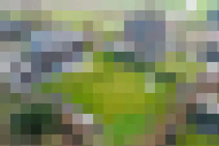 Zandsteeg 7 b Sambeek thumbnail 52
