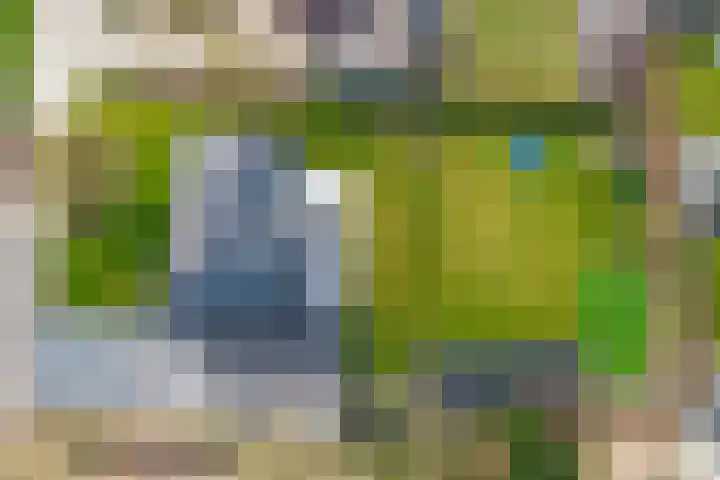 Zandsteeg 7 b Sambeek thumbnail 53