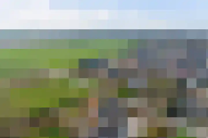 Zandsteeg 7 b Sambeek thumbnail 6